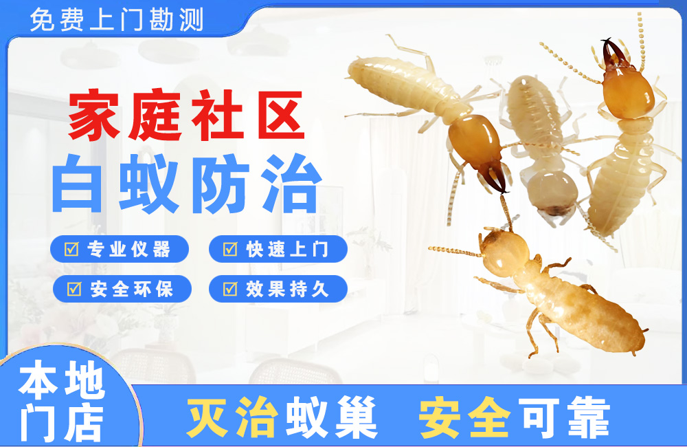 株洲家庭社区白蚁防治