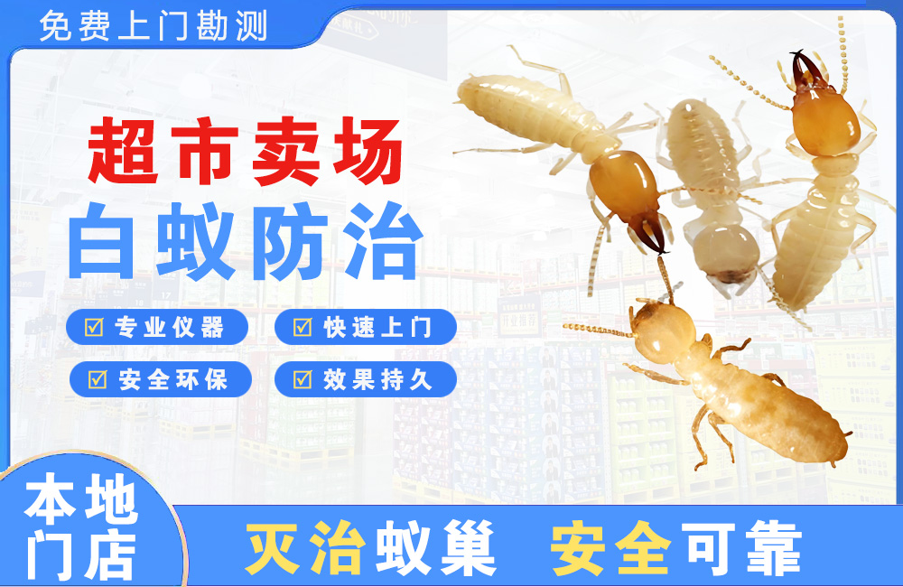 株洲超市卖场白蚁防治
