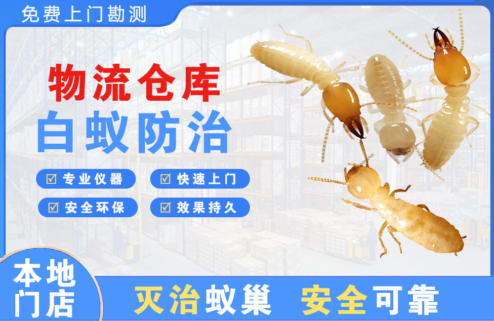 株洲物流仓库白蚁防治