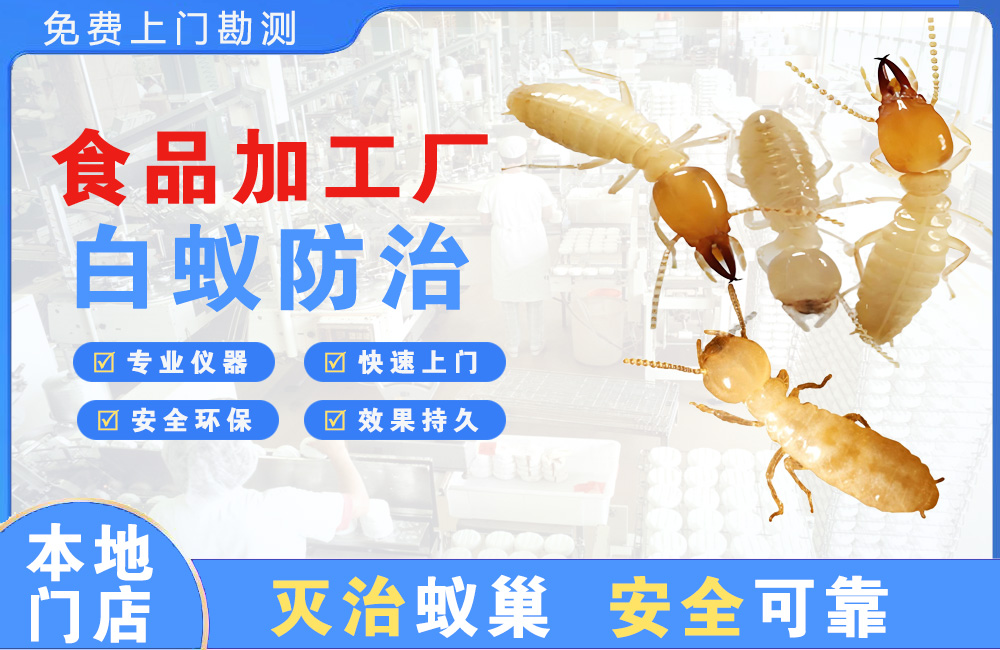 株洲食品加工厂白蚁防治