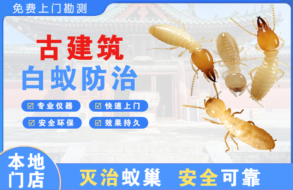 株洲古建筑白蚁防治