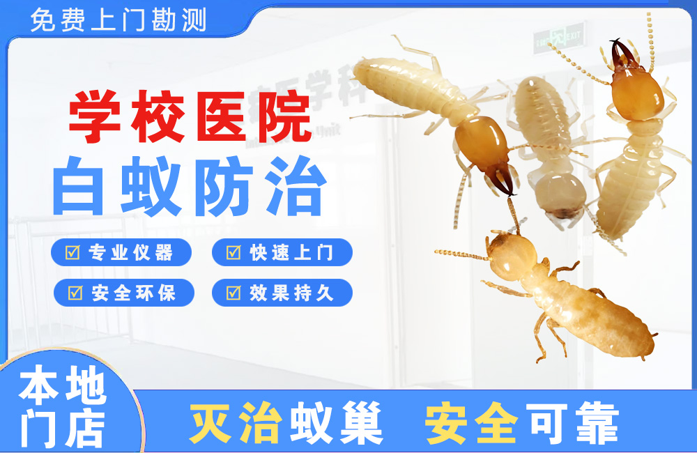 株洲学校医院白蚁防治