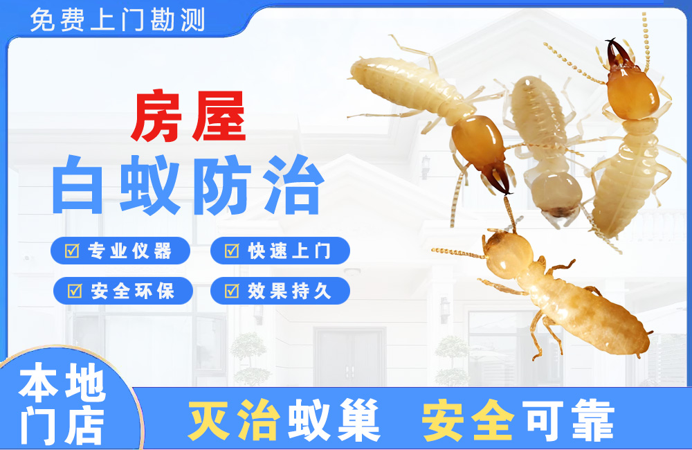株洲房屋白蚁防治