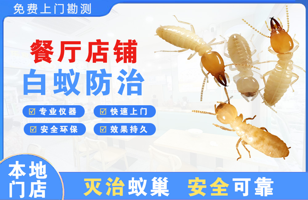 株洲餐厅店铺白蚁防治